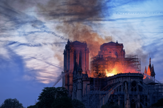 Notre Dame de Paris, appel à souscription par la Fondation de Lille au profit de la Fondation du Patrimoine